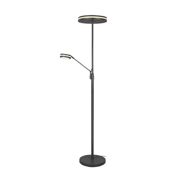 Vloerlamp met leeslamp - LED - dimbaar – dubbele - 181 cm hoog - antraciet