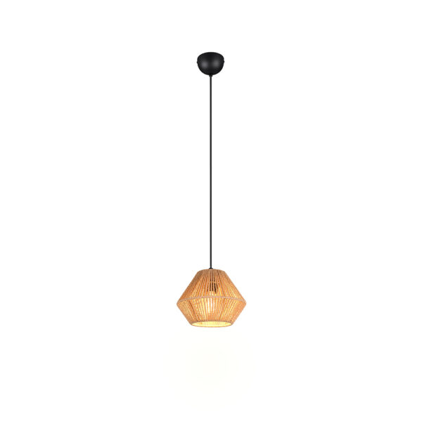 hanglamp met draadkap - E27 - 150 cm hoog - zwart